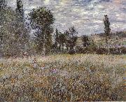 Claude Monet A Mcadow oil painting reproduction